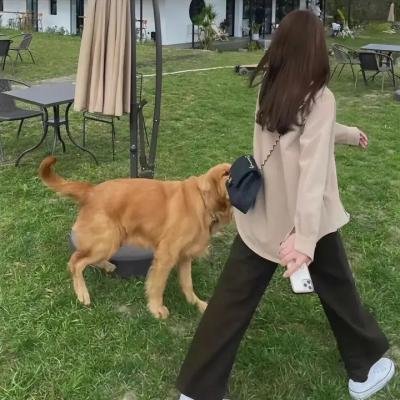 纽约侠客行